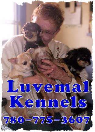 Luvemal Kennels